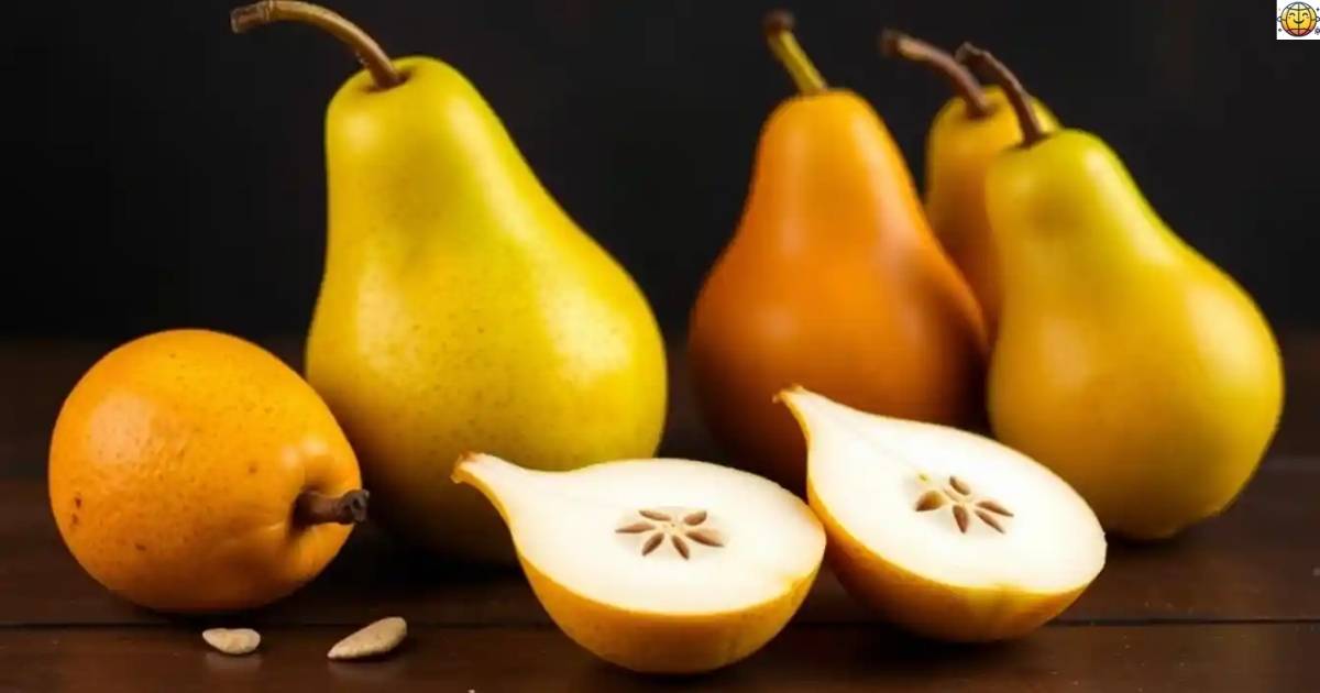 Pear Puns